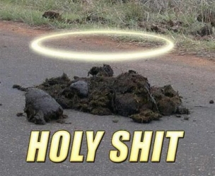 holyshit