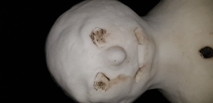 prochcaný sněhulák