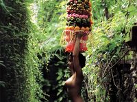 Kozy, prsa, dudy #24