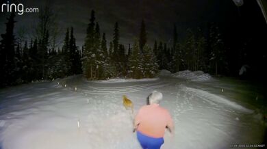 Nebezpečné venčení psů