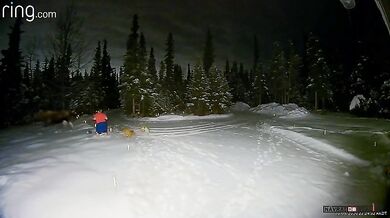 Nebezpečné venčení psů