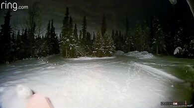 Nebezpečné venčení psů