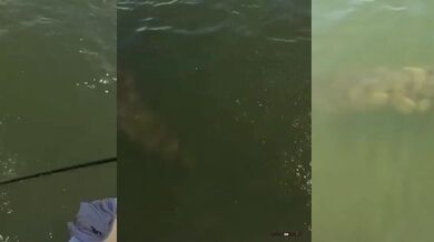 Kontrola vody v Africe