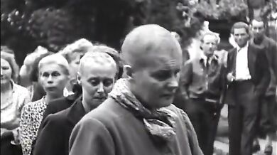 Trest za horizontální kolaboraci (video+foto)