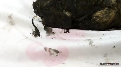 Hlava vlka z období pleistocénu