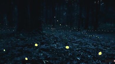 Seven Worlds, One Planet (2019)