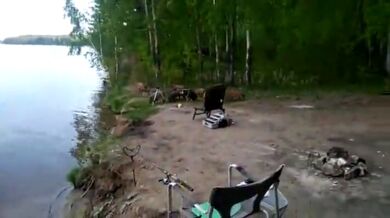 Setkání s divočáky