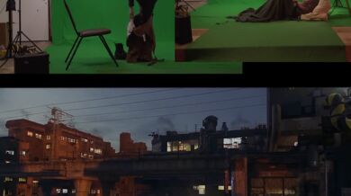 Kouzlo zeleného pozadí