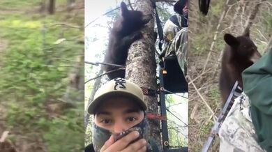 Setkání s medvědem #63