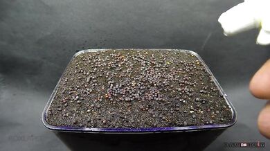 Od semínka do hrobu