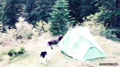 Setkání s medvědem #74