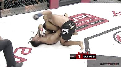 Opravdový bojovník