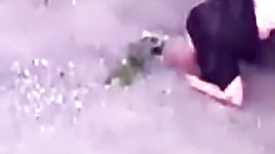 Legendární Svarta Jump