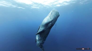 GoPro - Best of 2020