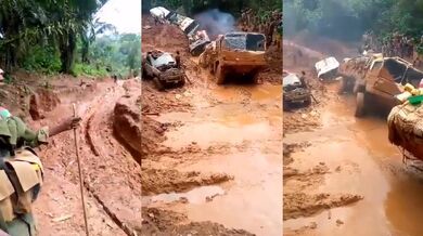 Cesta do hlubin deštného pralesa