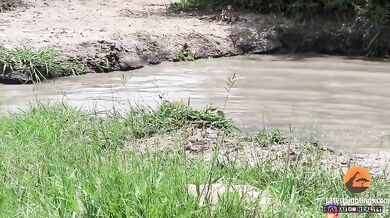 Krokodýl vs. impala