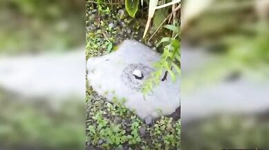 Kolo, kolo mlýnský...