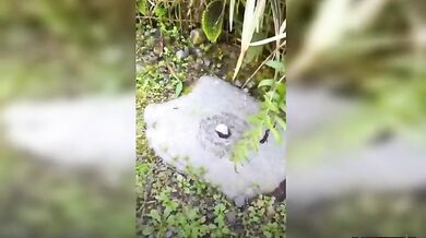 Kolo, kolo mlýnský...