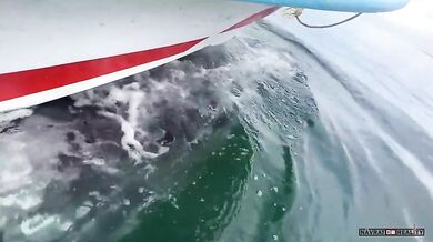 Setkání s velrybami #20