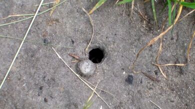 Zapomněl zavřít dveře