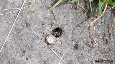 Zapomněl zavřít dveře