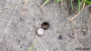 Zapomněl zavřít dveře