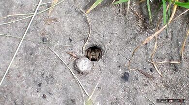 Zapomněl zavřít dveře