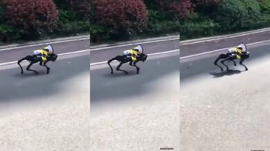 Robotický pes v ulicích