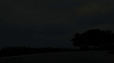 Surfování na obřích vlnách