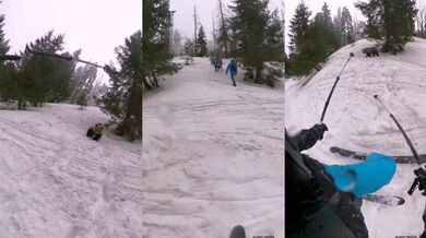 Setkání s medvědem #79