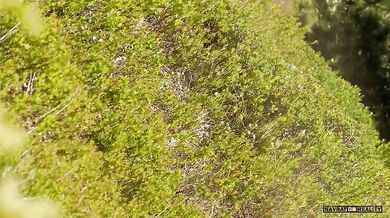 Setkání s medvědem #80