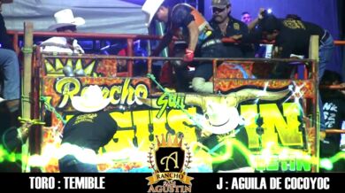 Člověk vs. býk #109