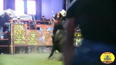 Člověk vs. býk #109