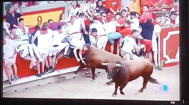 Člověk vs. býk #110