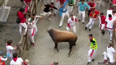 Člověk vs. býk #110