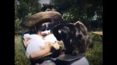 První video s kočkou ( 1900 )