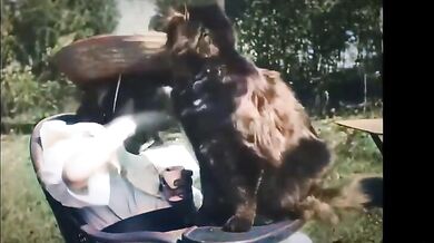 První video s kočkou ( 1900 )