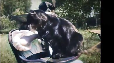 První video s kočkou ( 1900 )