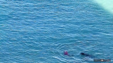 Tulení matka chránící své mládě