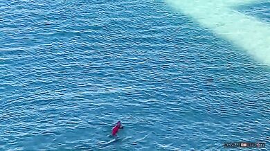 Tulení matka chránící své mládě