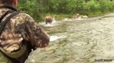 Setkání s medvědem #82