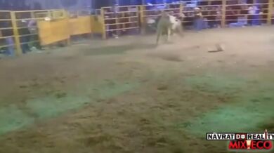 Člověk vs. býk #134