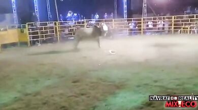 Člověk vs. býk #134