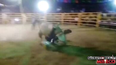 Člověk vs. býk #134