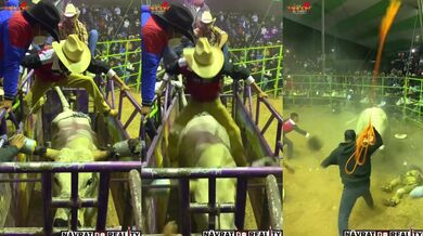 Člověk vs. býk #136