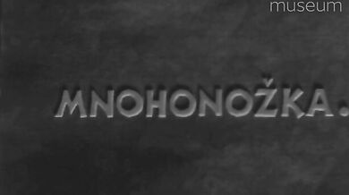 Unikátní snímky ze začátků pražské ZOO