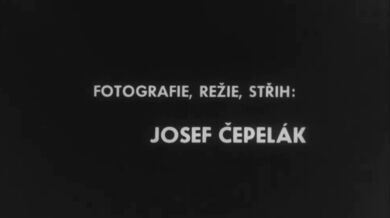 Neděle v pražské ZOO (1949)