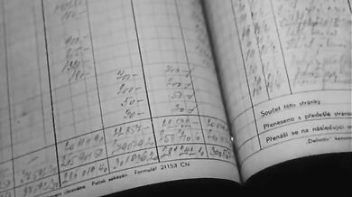 Neděle v pražské ZOO (1949)