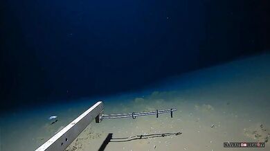 Nejhlouběji žijící ryba všech dob