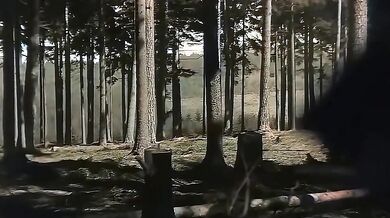 Německo v roce 1945 během 2. světové války (60FPS, HD, Barevné)